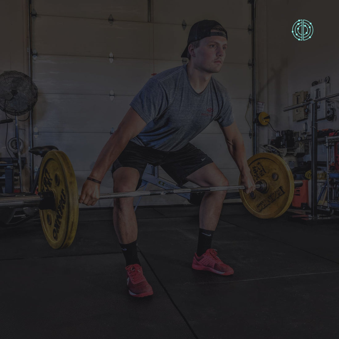 Beneficios de la PQQ - Empowermind