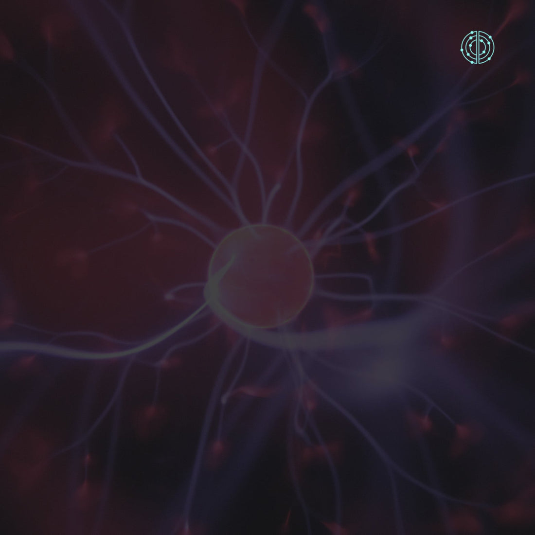 Beneficios de la Fosfatidilserina - Empowermind