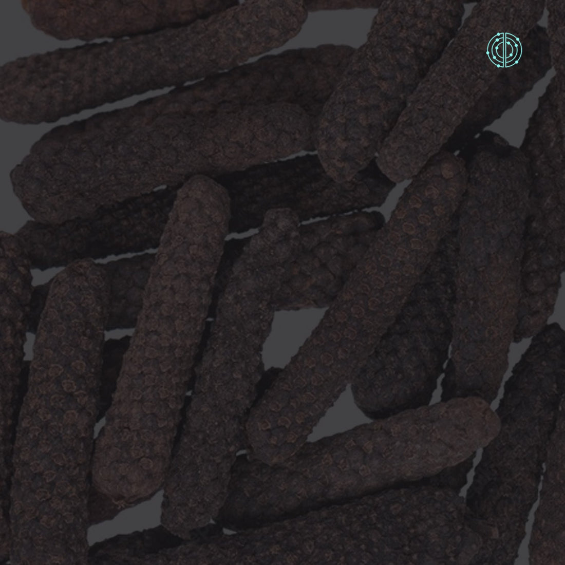 Beneficios de la Piperina - Empowermind