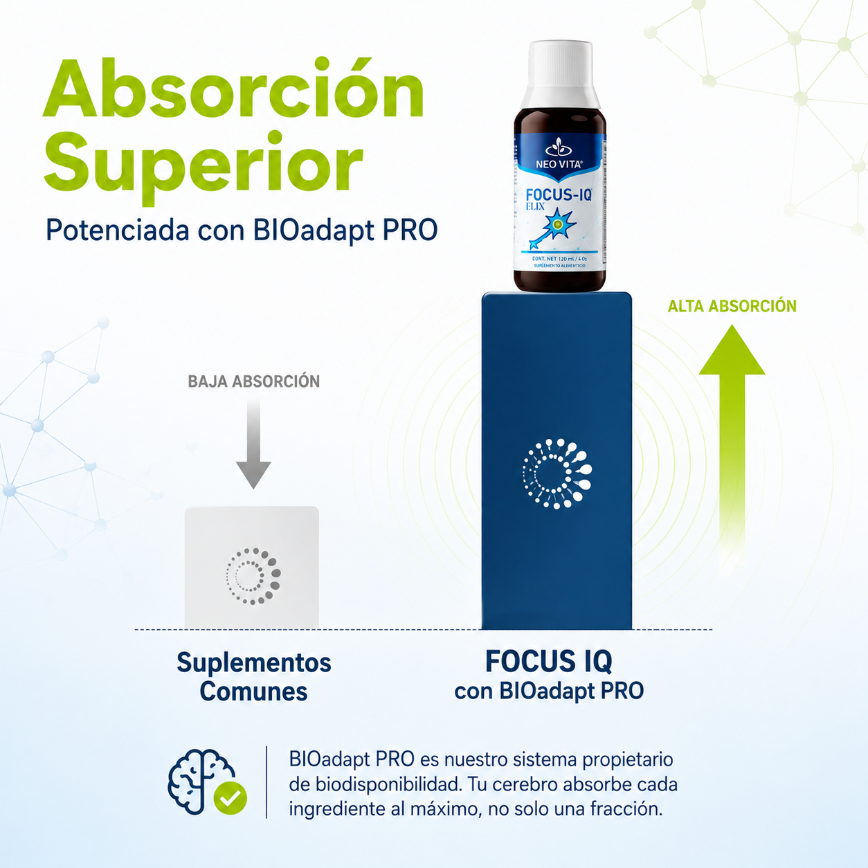 FOCUS-IQ