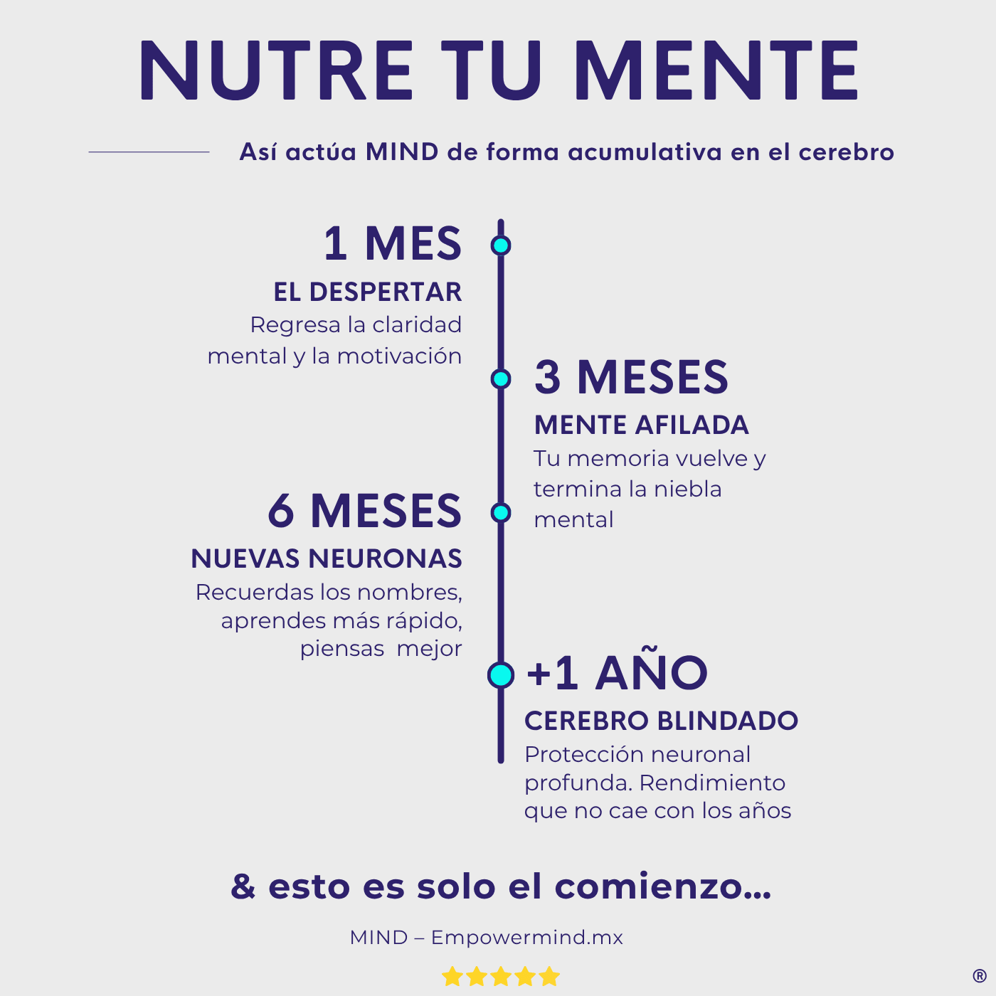 POWER + MIND - Empowermind Nootrópicos strips zenergy nootropicos premium vitaminas para el cerebro