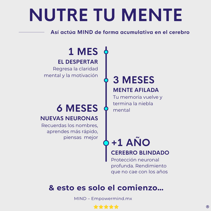 POWER + MIND - Empowermind Nootrópicos strips zenergy nootropicos premium vitaminas para el cerebro
